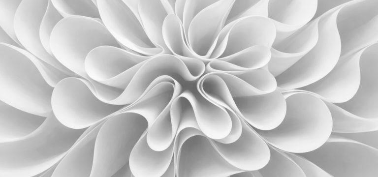 Cade e as Ligas de Futebol Profissional